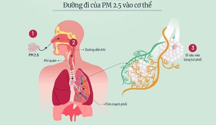 Tác hại của bụi mịn pm 2.5 ảnh hưởng nghiêm trọng tới hô hấp